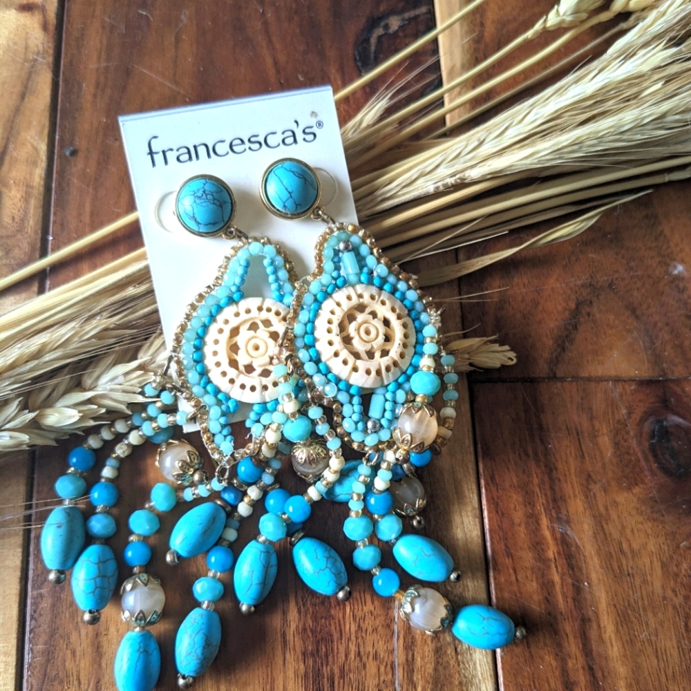 Dangly earrings Francesca's show jewelry